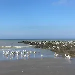 Alpesi faház In Near The Middelkerke