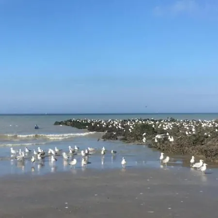 Шале In Near The Миделкерк