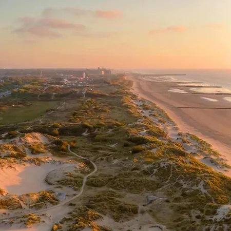 In Near The Миделкерк